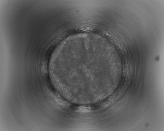 X0000097620606200803211747