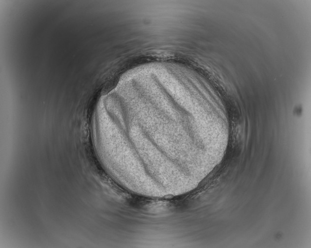 X0000097620609200803211747