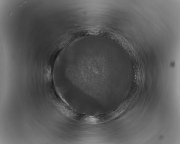 X0000097620610200803211747