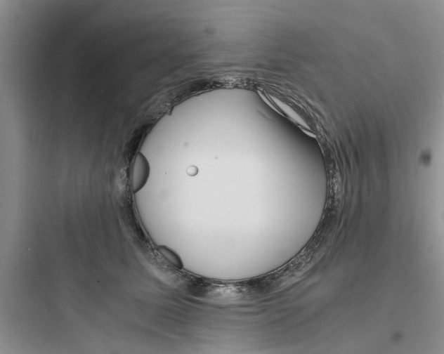 X0000097620611200803211747