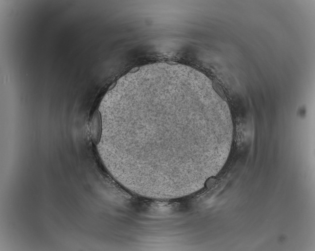X0000097620613200803211747