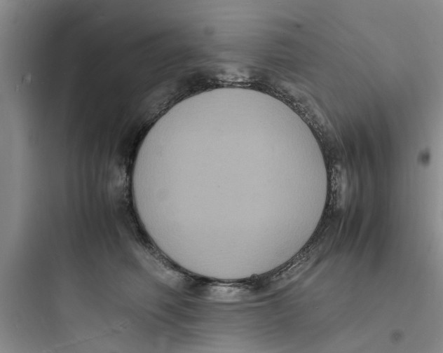 X0000097620614200803211747