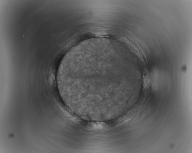X0000097620618200803211747