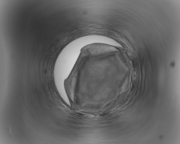 X0000097620621200803211747