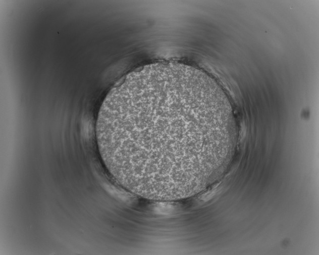 X0000097620623200803211747
