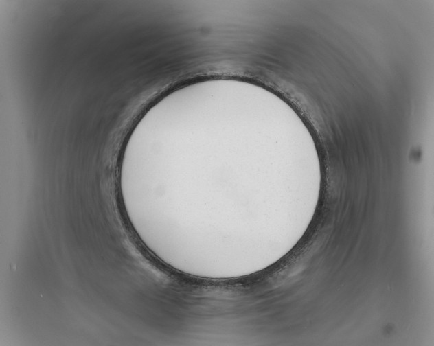 X0000097620625200803211746