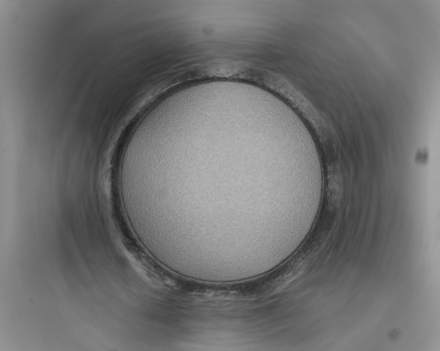 X0000097620626200803211746