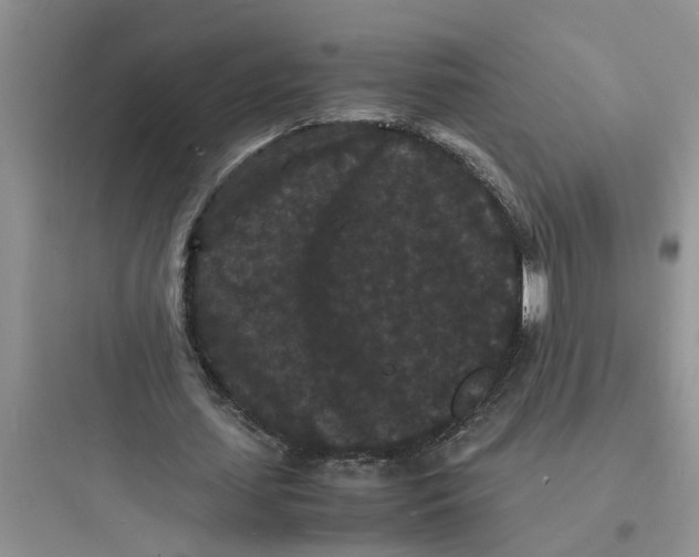 X0000097620627200803211746
