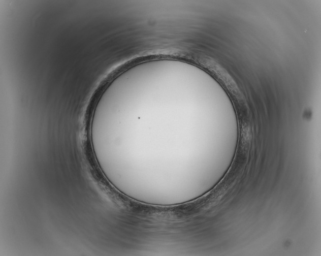 X0000097620628200803211746