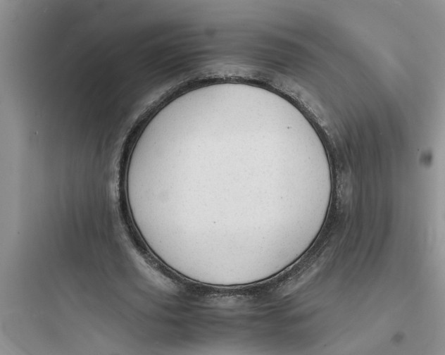 X0000097620629200803211746