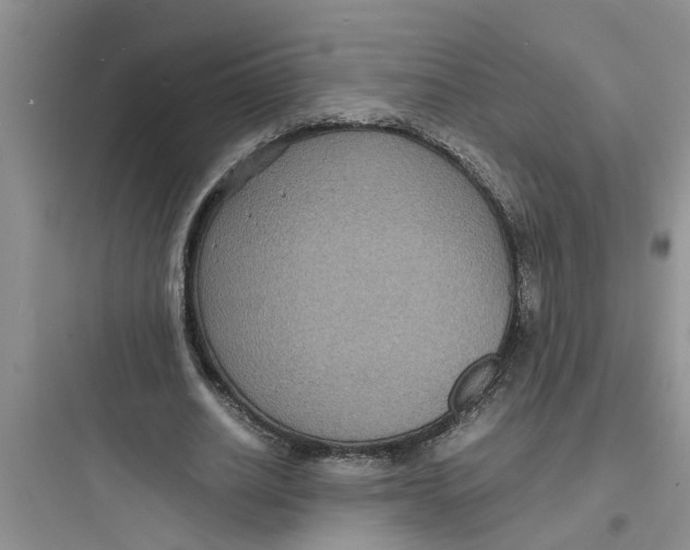 X0000097620630200803211746