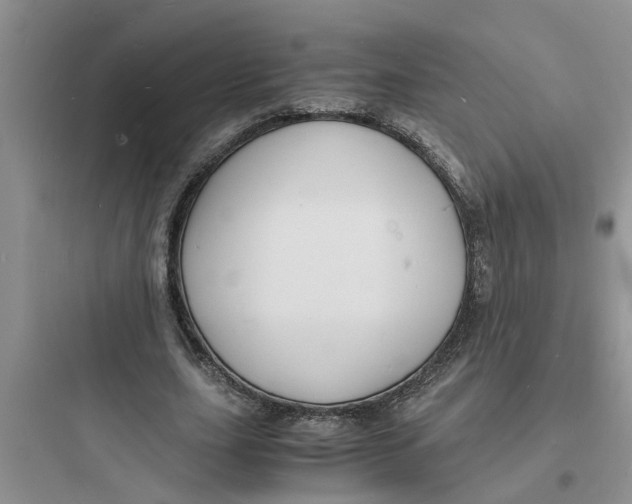 X0000097620631200803211746