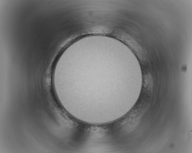 X0000097620632200803211746