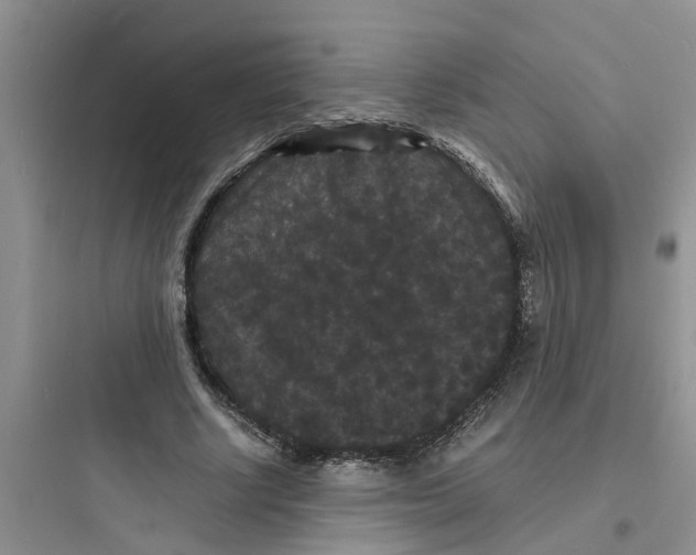 X0000097620634200803211746