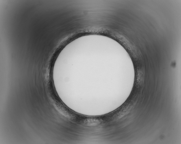 X0000097620636200803211746