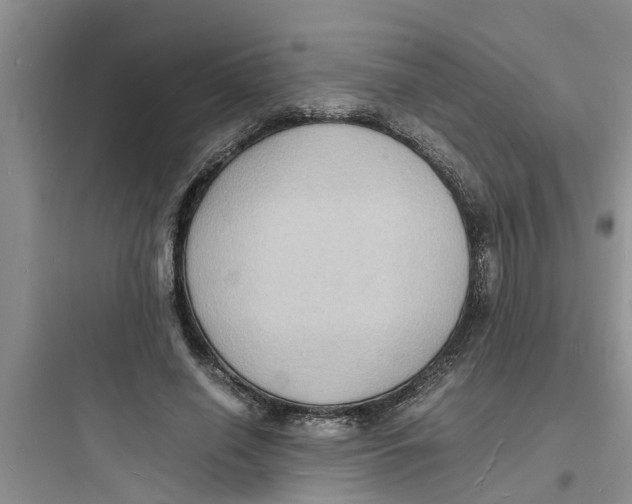 X0000097620638200803211746