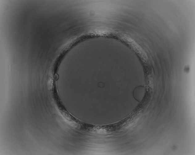X0000097620640200803211746
