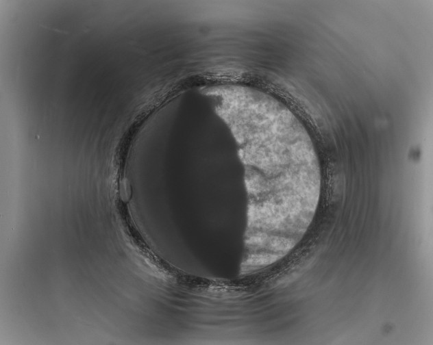 X0000097620641200803211746