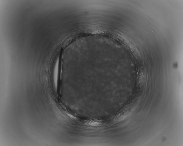 X0000097620643200803211747