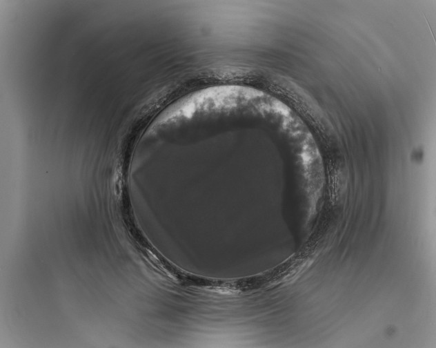 X0000097620644200803211747