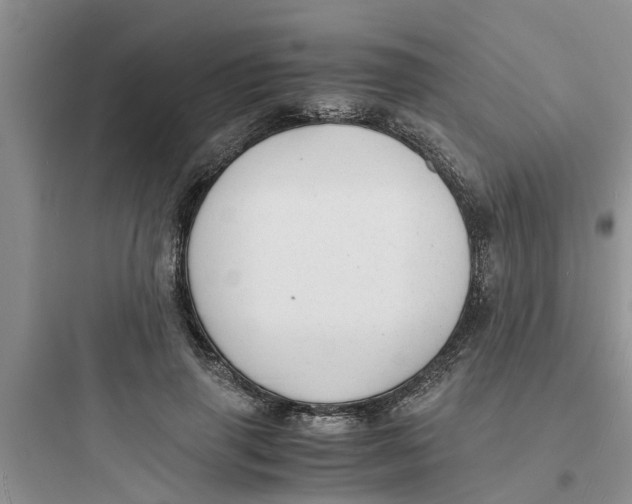 X0000097620645200803211747