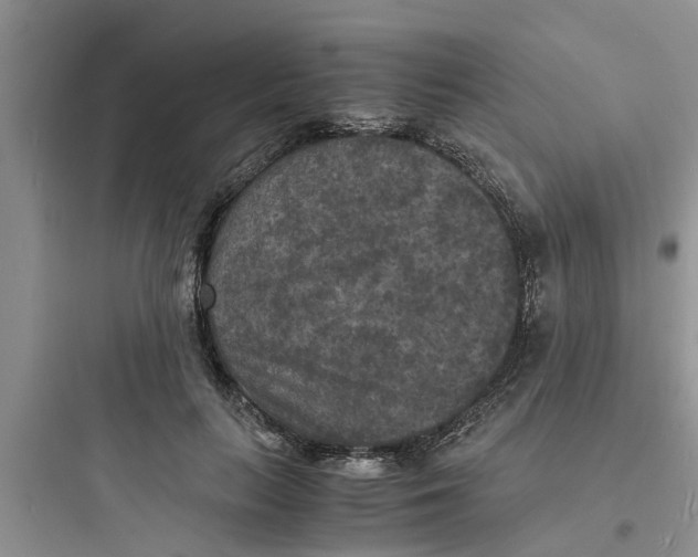 X0000097620647200803211747