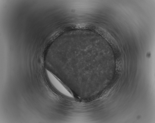 X0000097620648200803211747