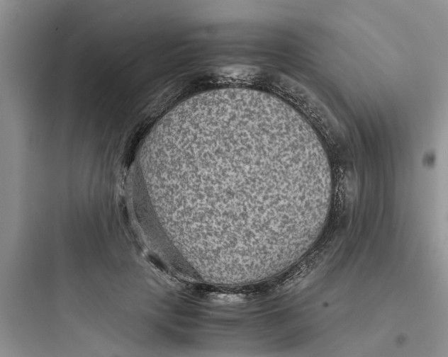 X0000097620649200803211747