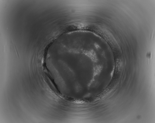 X0000097620650200803211747
