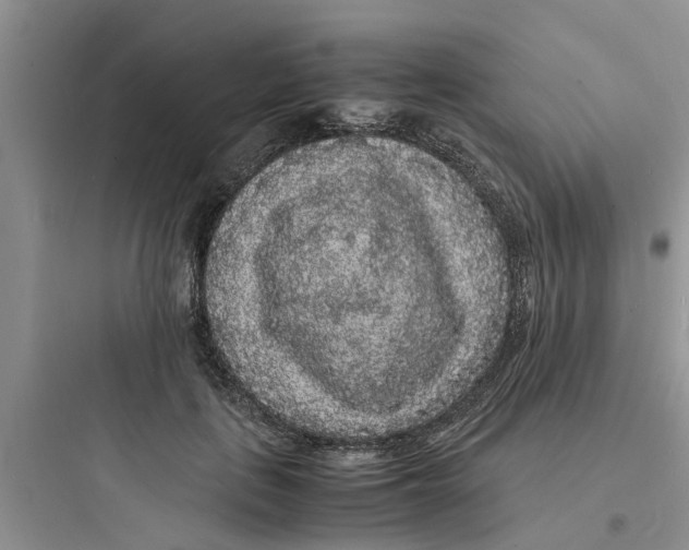 X0000097620651200803211747