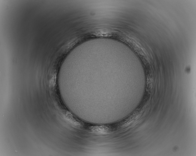 X0000097620652200803211747