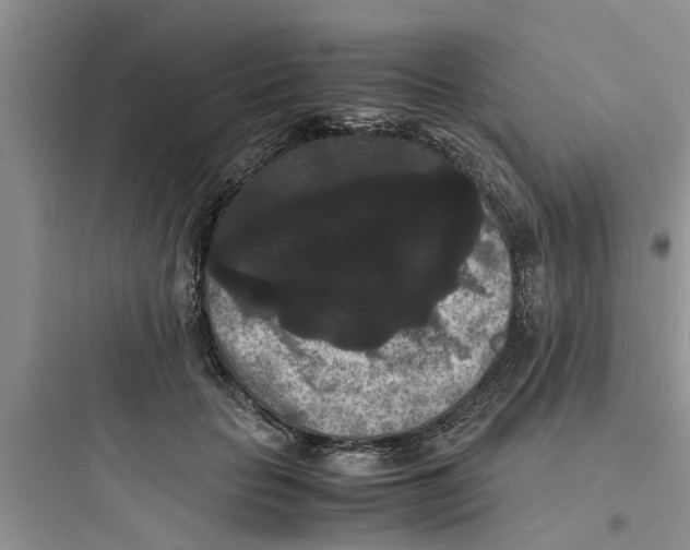 X0000097620653200803211747