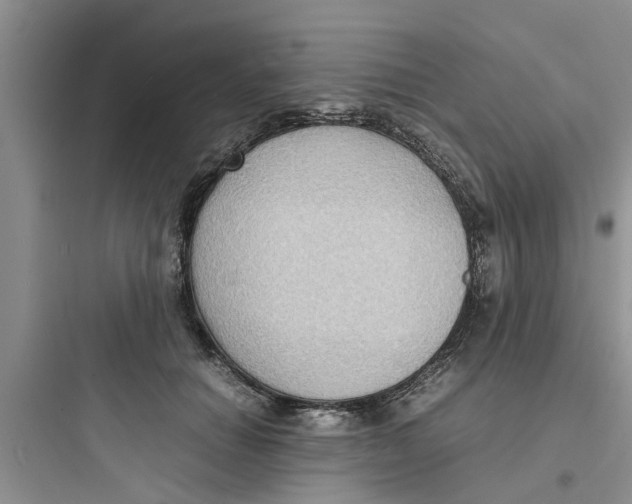 X0000097620654200803211747