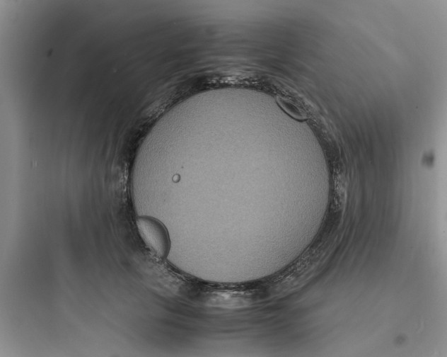 X0000097620657200803211747