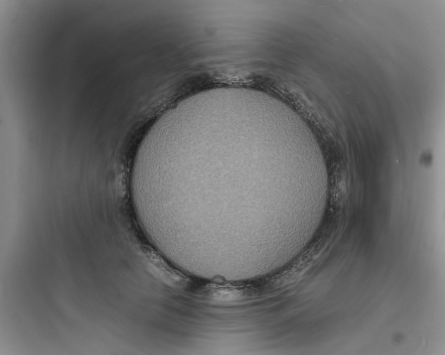 X0000097620658200803211747