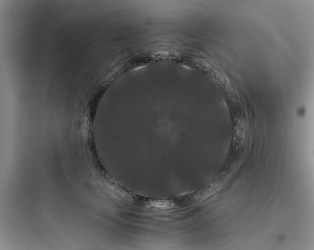 X0000097620659200803211747