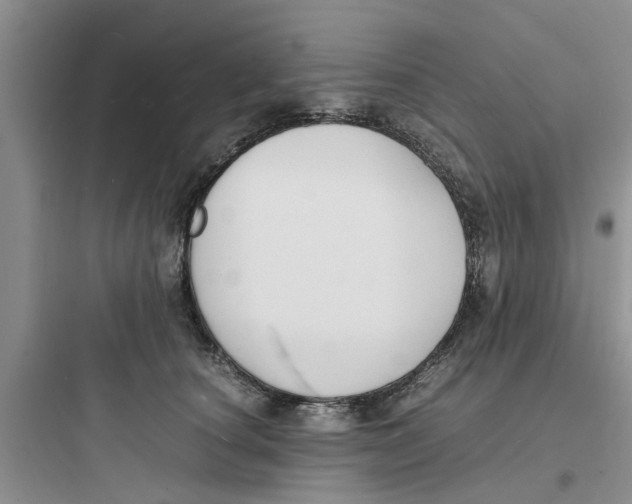 X0000097620660200803211747