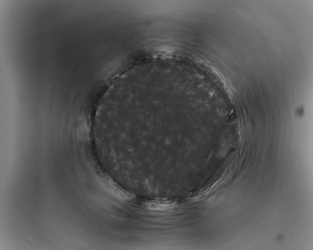 X0000097620661200803211747