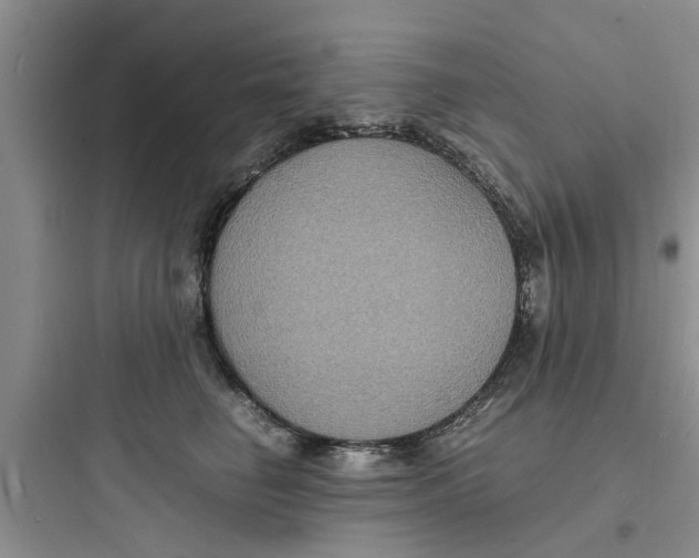 X0000097620662200803211747