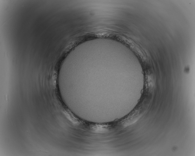 X0000097620664200803211747