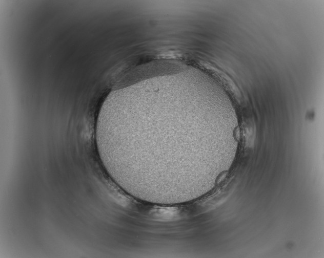X0000097620665200803211747