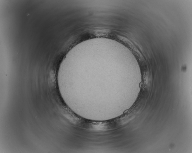 X0000097620667200803211747