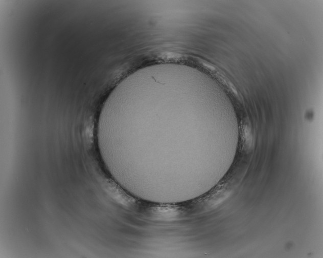X0000097620668200803211747