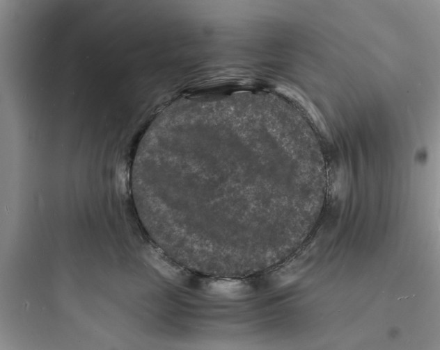 X0000097620669200803211747
