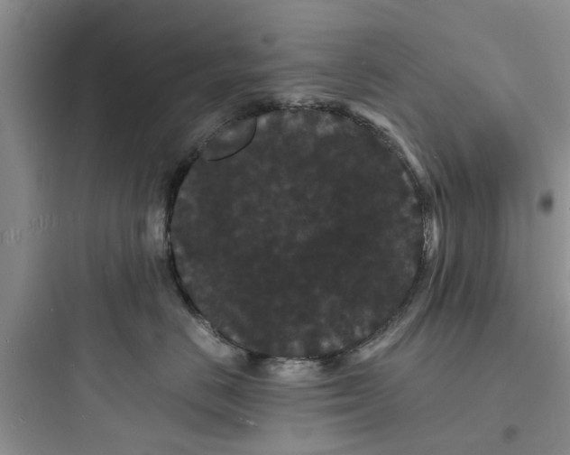 X0000097620670200803211747
