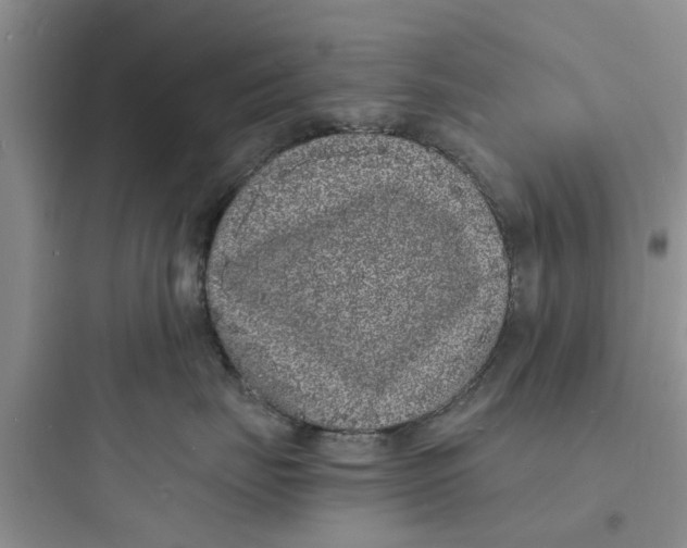 X0000097620671200803211747