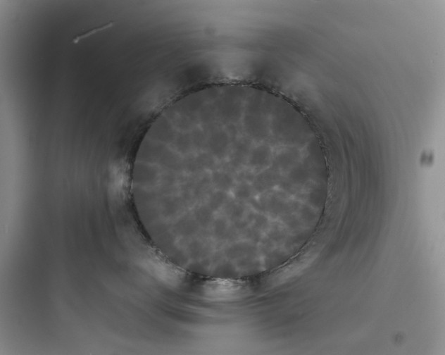 X0000097620672200803211747