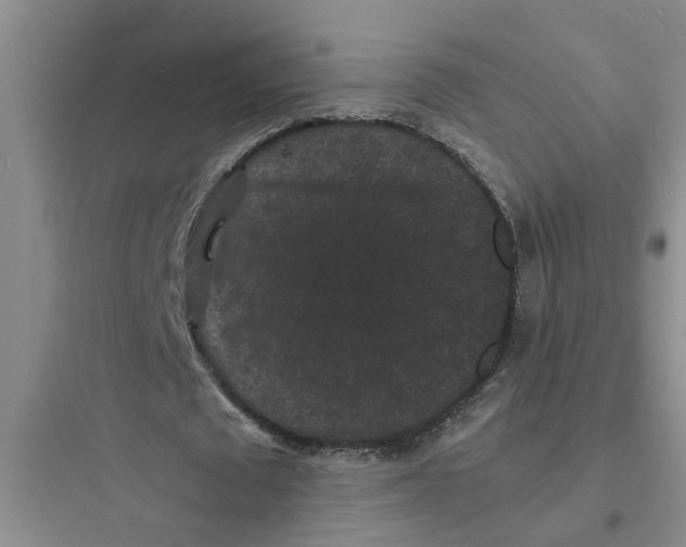 X0000097620673200803211746