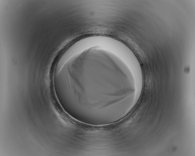 X0000097620674200803211746