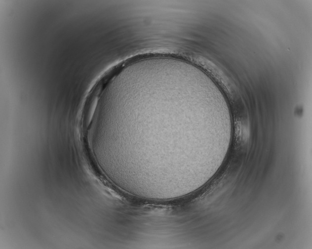 X0000097620676200803211746